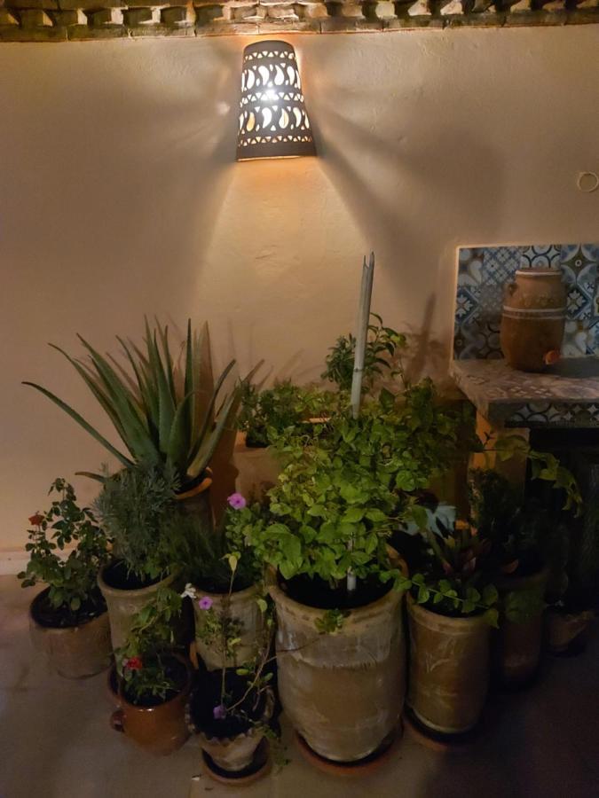 مراكش Riad Dar Karam المظهر الخارجي الصورة